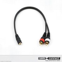 Cavo da 3.5mm mini Jack a 2x RCA, 0.3m, f/m