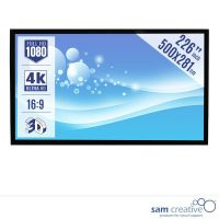 Schermo di Proiezione Cinema 4K UHD 500x281 cm