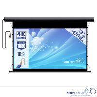 Schermo di Proiezione Elettrico 4K|UHD 263x148 cm alloggiamento nero